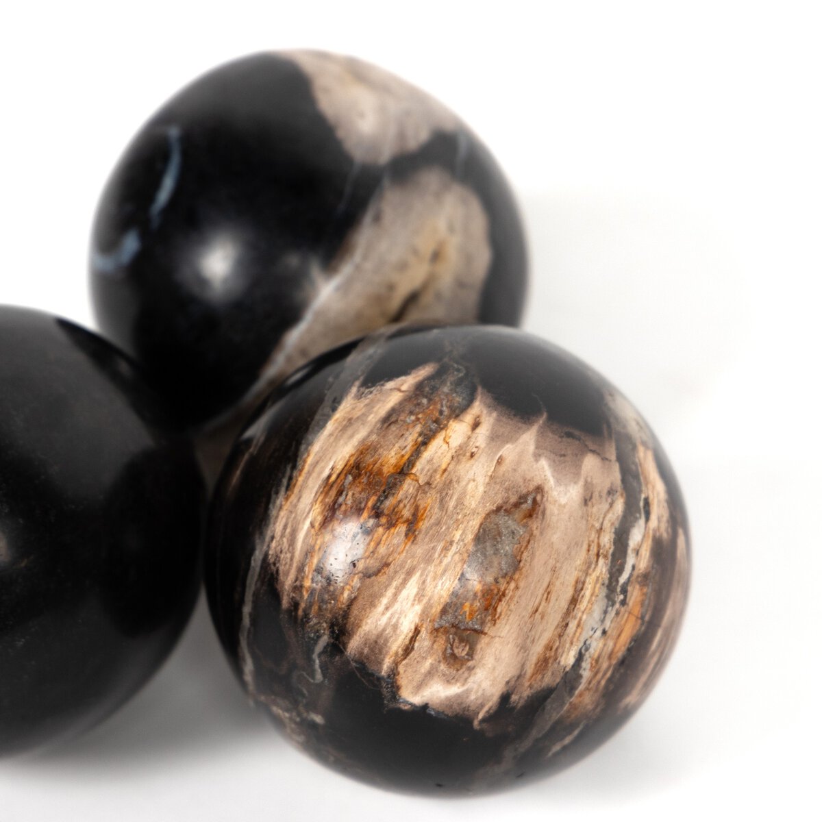 Petrified Wood Balls, Set Of 3