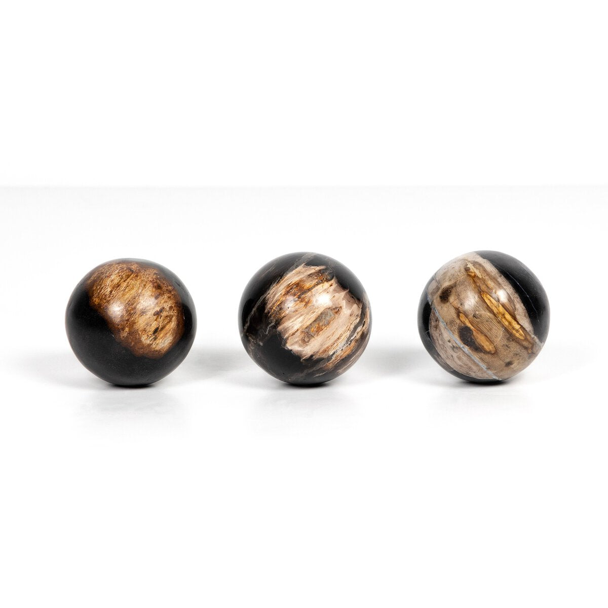 Petrified Wood Balls, Set Of 3