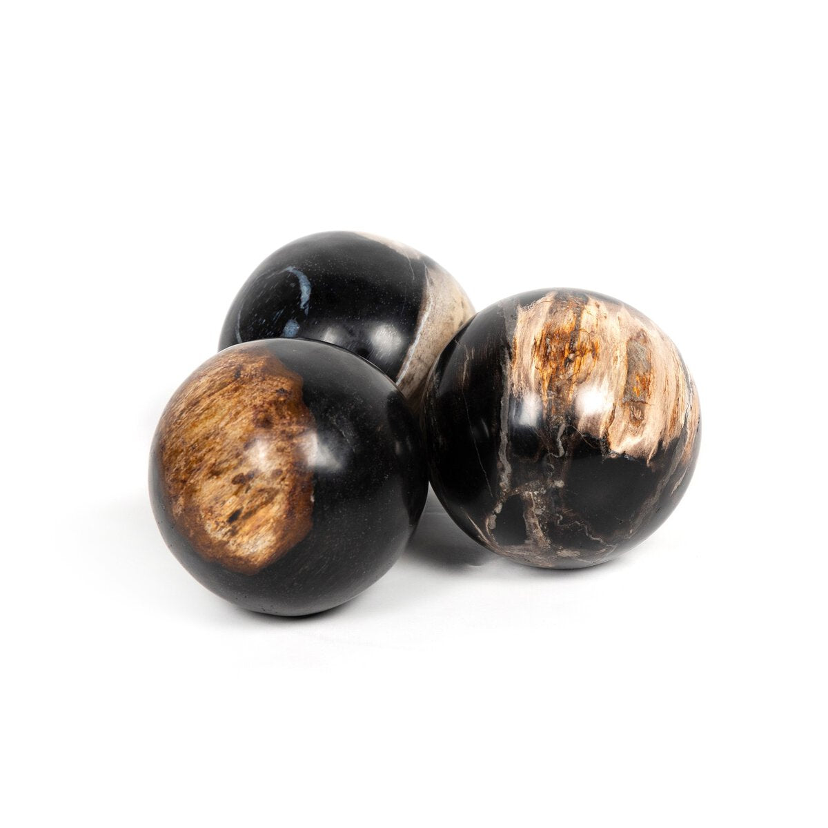 Petrified Wood Balls, Set Of 3