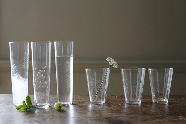 Sienna Etched Stemless Champagne Glassware Set