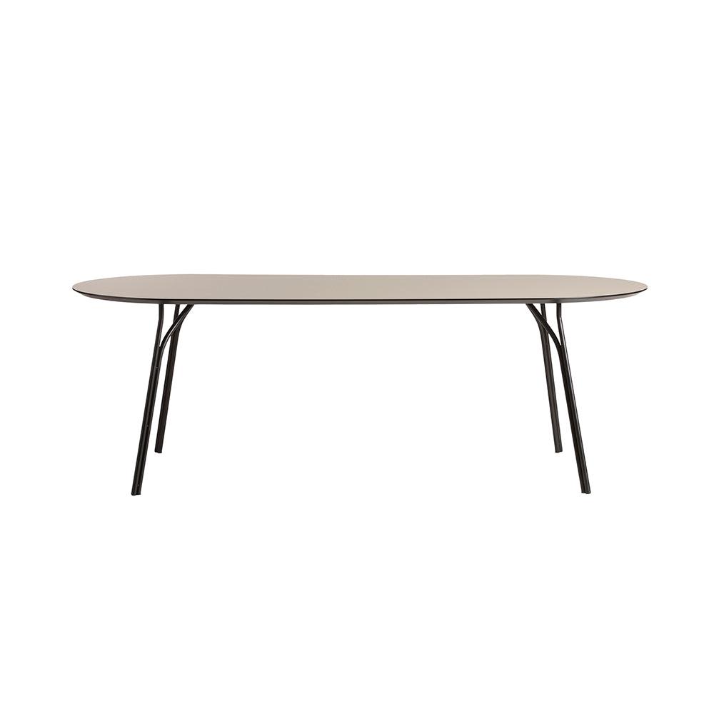 WOUD FURNITURE - Tree Oval Dining Table