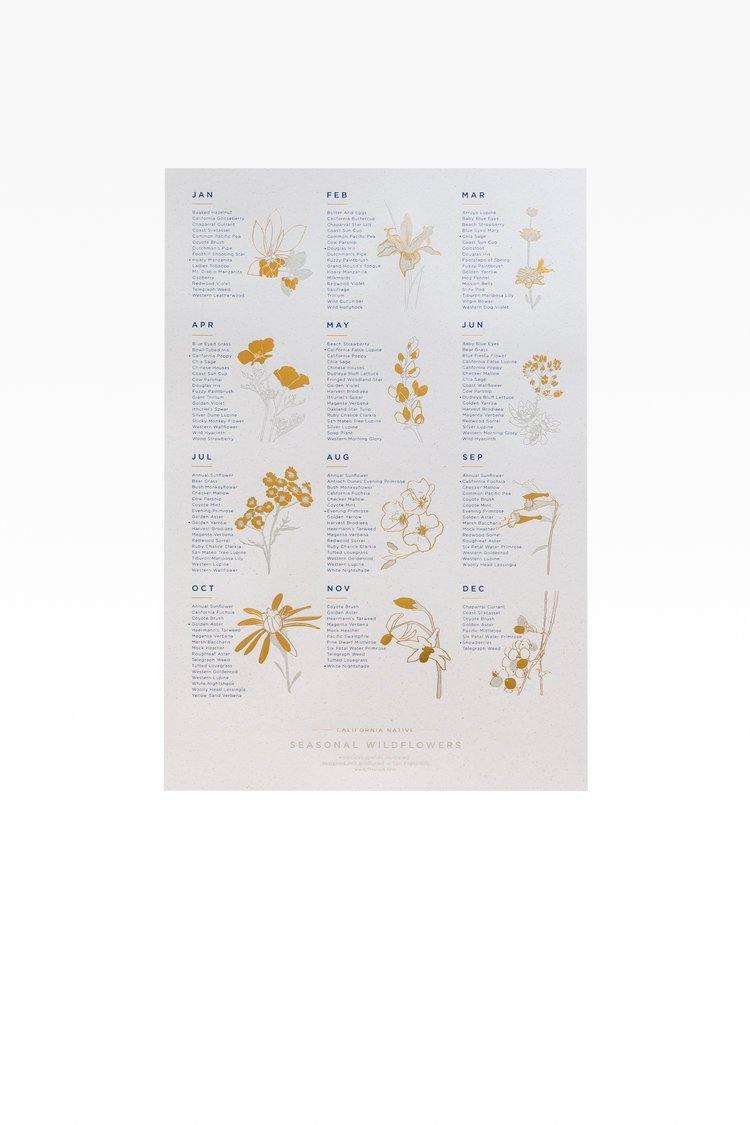 Young America Creative GALLERY - Seasonal Wildflower Calendar