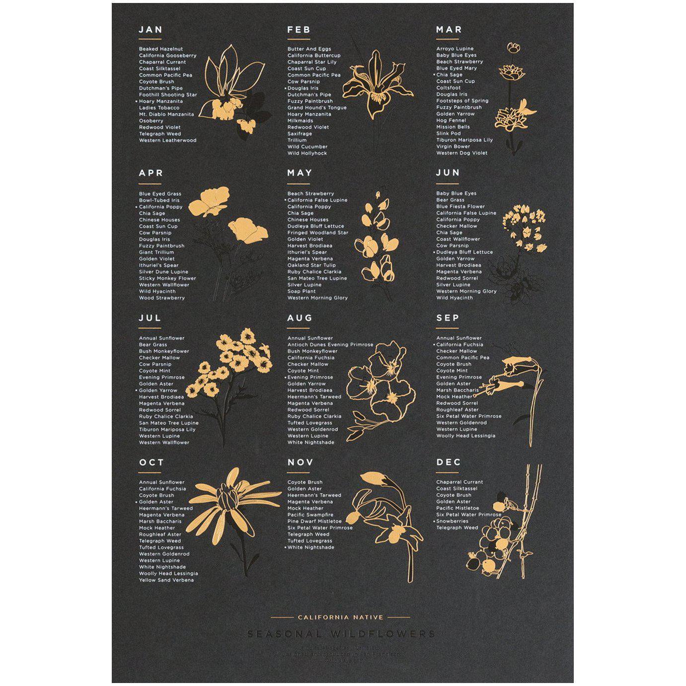 Young America Creative GALLERY - Seasonal Wildflower Calendar