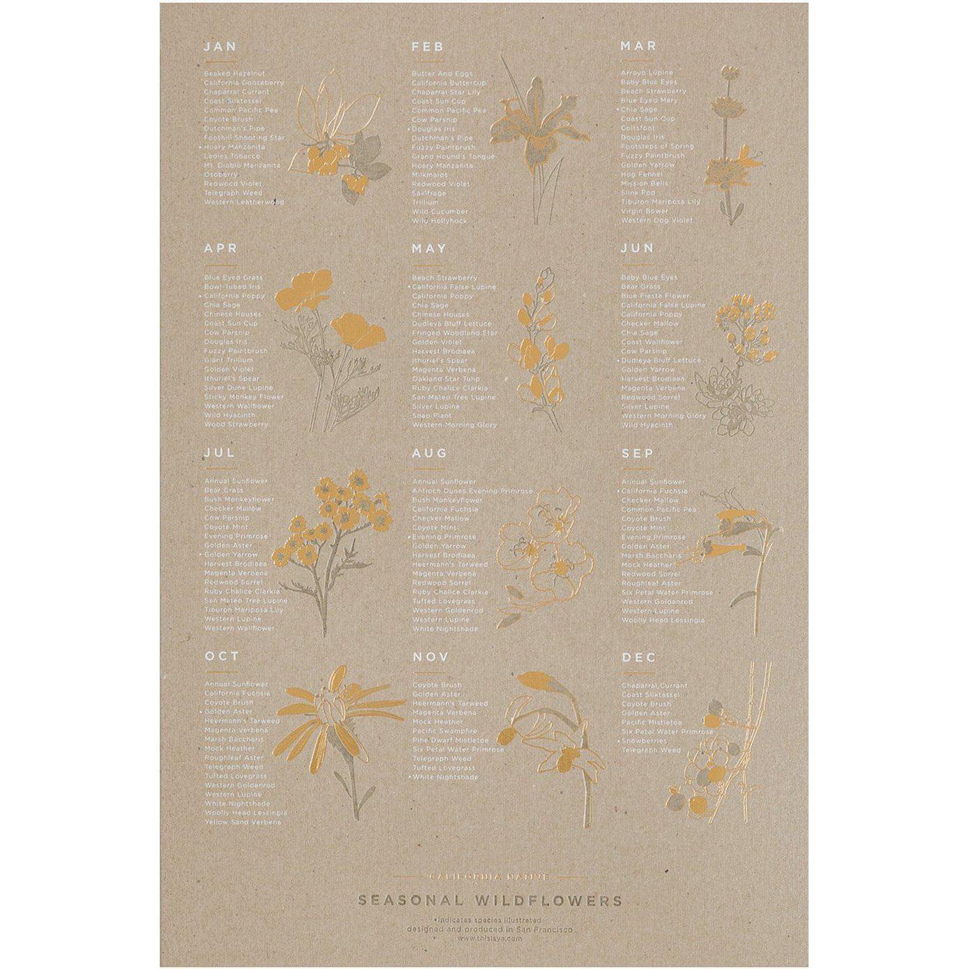 Young America Creative GALLERY - Seasonal Wildflower Calendar